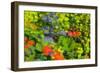 Floral abstract ll-Heidi Westum-Framed Photographic Print