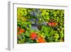 Floral abstract ll-Heidi Westum-Framed Photographic Print