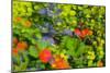 Floral abstract ll-Heidi Westum-Mounted Photographic Print