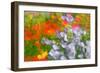 Floral abstract-Heidi Westum-Framed Photographic Print