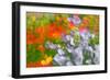 Floral abstract-Heidi Westum-Framed Photographic Print