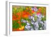 Floral abstract-Heidi Westum-Framed Photographic Print