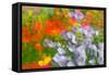 Floral abstract-Heidi Westum-Framed Stretched Canvas