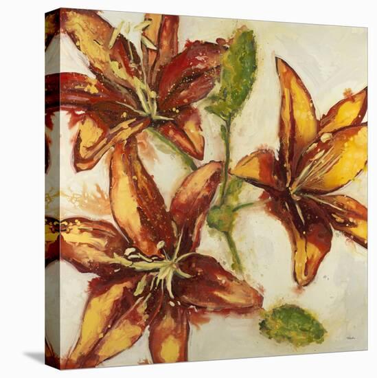 Floral Abstract-Randy Hibberd-Stretched Canvas