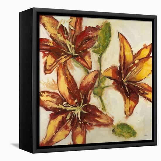 Floral Abstract-Randy Hibberd-Framed Stretched Canvas