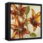 Floral Abstract-Randy Hibberd-Framed Stretched Canvas