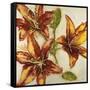 Floral Abstract-Randy Hibberd-Framed Stretched Canvas