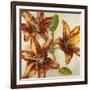 Floral Abstract-Randy Hibberd-Framed Art Print