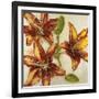 Floral Abstract-Randy Hibberd-Framed Art Print