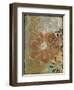 Floral Abstraction I-Jennifer Goldberger-Framed Art Print