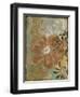 Floral Abstraction I-Jennifer Goldberger-Framed Art Print