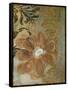 Floral Abstraction II-Jennifer Goldberger-Framed Stretched Canvas