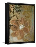 Floral Abstraction II-Jennifer Goldberger-Framed Stretched Canvas