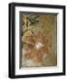 Floral Abstraction II-Jennifer Goldberger-Framed Art Print