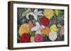 Floral Abundance II-Sandra Iafrate-Framed Art Print