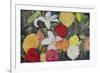 Floral Abundance II-Sandra Iafrate-Framed Art Print