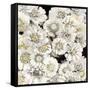 Floral Abundance in Ivory-Kate Bennett-Framed Stretched Canvas