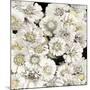 Floral Abundance in Ivory-Kate Bennett-Mounted Art Print