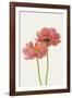 Floral Allegro-Irene Suchocki-Framed Giclee Print