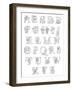 Floral Alphabet A to Z-Heather Rosas-Framed Art Print