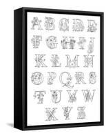 Floral Alphabet A to Z-Heather Rosas-Framed Stretched Canvas