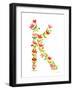 Floral Alphabet Letter XI-Farida Zaman-Framed Art Print