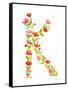 Floral Alphabet Letter XI-Farida Zaman-Framed Stretched Canvas