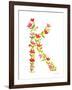 Floral Alphabet Letter XI-Farida Zaman-Framed Art Print