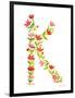 Floral Alphabet Letter XI-Farida Zaman-Framed Art Print