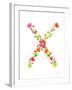 Floral Alphabet Letter XXIV-Farida Zaman-Framed Art Print