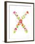 Floral Alphabet Letter XXIV-Farida Zaman-Framed Art Print