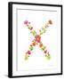 Floral Alphabet Letter XXIV-Farida Zaman-Framed Art Print