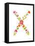 Floral Alphabet Letter XXIV-Farida Zaman-Framed Stretched Canvas