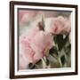 Floral Arrangement II-Dan Meneely-Framed Art Print