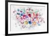 Floral Arrangement III-Li Bo-Framed Giclee Print