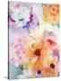 Floral Array-Jill Martin-Stretched Canvas