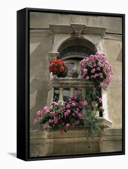 Floral Balconies, Rovinj, Croatia-Michael Short-Framed Stretched Canvas