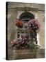 Floral Balconies, Rovinj, Croatia-Michael Short-Stretched Canvas
