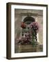 Floral Balconies, Rovinj, Croatia-Michael Short-Framed Photographic Print