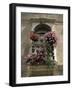 Floral Balconies, Rovinj, Croatia-Michael Short-Framed Photographic Print