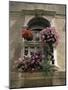 Floral Balconies, Rovinj, Croatia-Michael Short-Mounted Photographic Print
