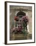 Floral Balconies, Rovinj, Croatia-Michael Short-Framed Photographic Print