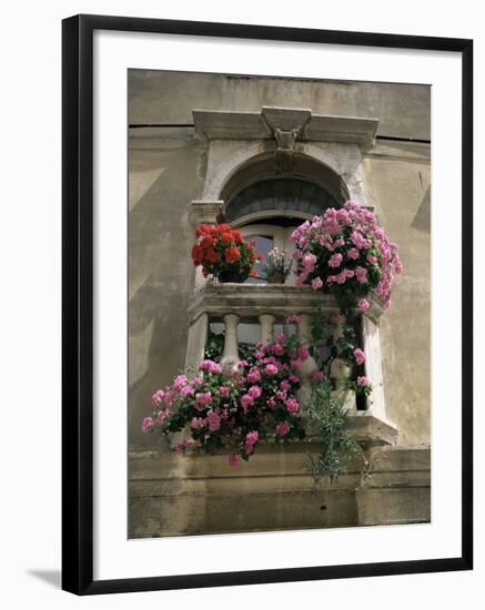 Floral Balconies, Rovinj, Croatia-Michael Short-Framed Photographic Print