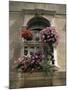 Floral Balconies, Rovinj, Croatia-Michael Short-Mounted Photographic Print