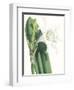 Floral Beauty I-Vision Studio-Framed Art Print