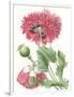 Floral Beauty V-Vision Studio-Framed Art Print