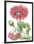 Floral Beauty V-Vision Studio-Framed Art Print