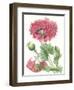 Floral Beauty V-Vision Studio-Framed Art Print