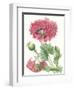 Floral Beauty V-Vision Studio-Framed Art Print