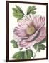 Floral Beauty VI-Vision Studio-Framed Art Print